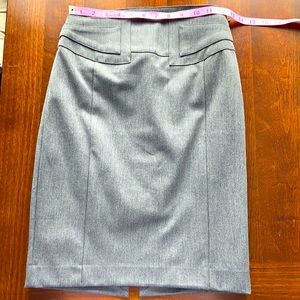 Express Pencil Skirt